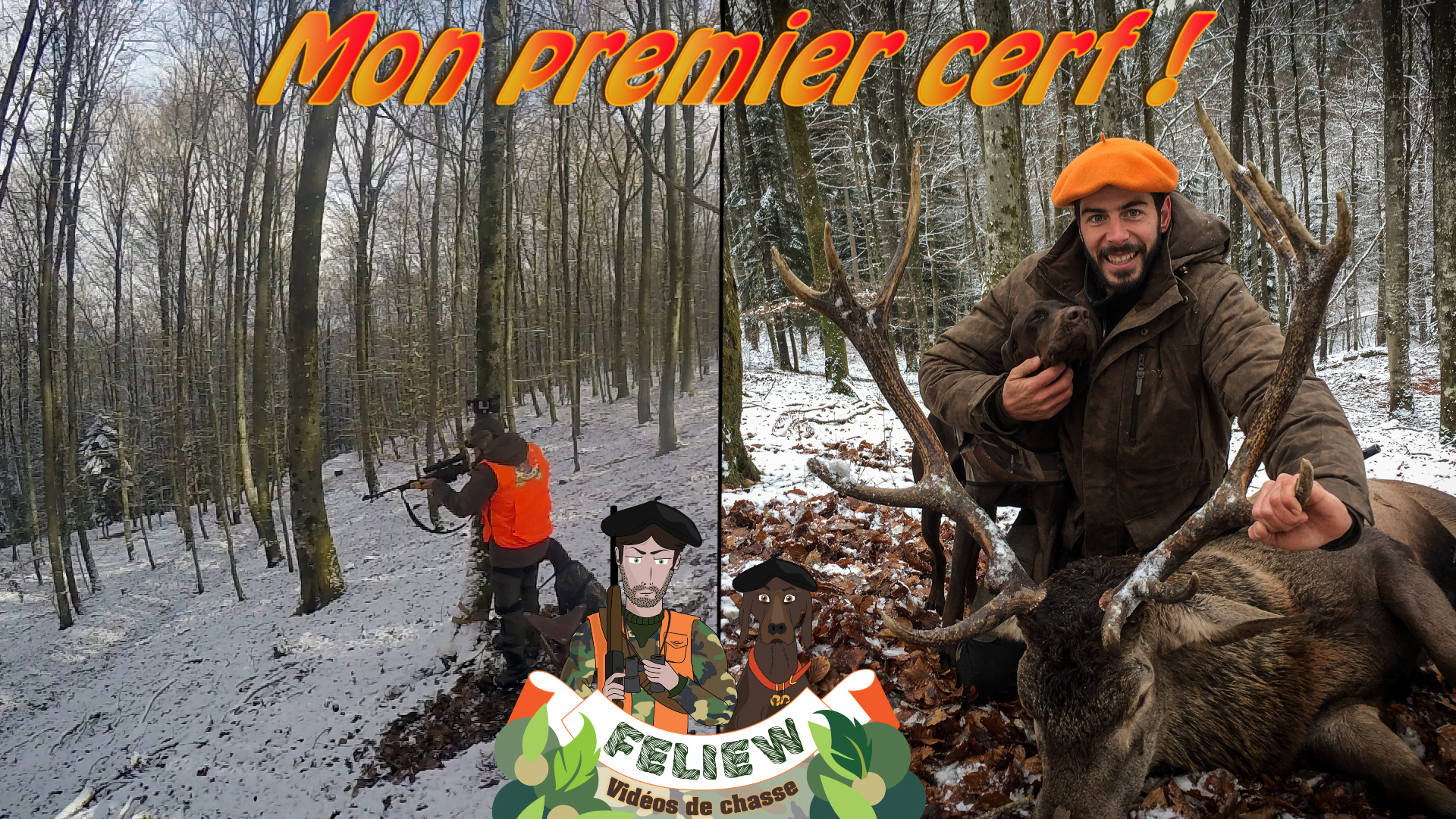 Tir De Mon Premier Cerf En Battue Dans Les Vosges Enorme Emotion Reves De Chasse