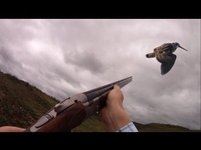 Compilation Chasse Petit Gibier - Caméra Embarquée GoPro - Chasse HD