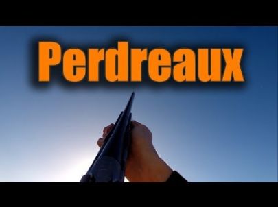 Battues de Perdreaux - Caméra GoPro - Chasse HD 
